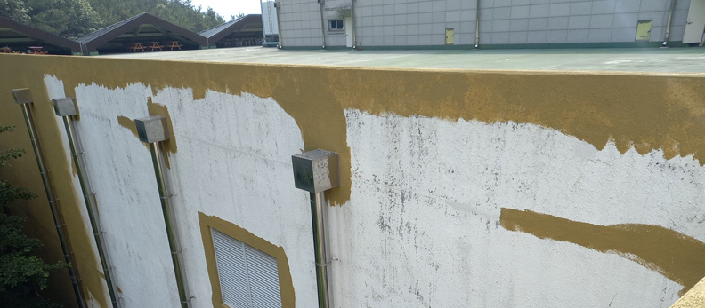 유성구건물도장